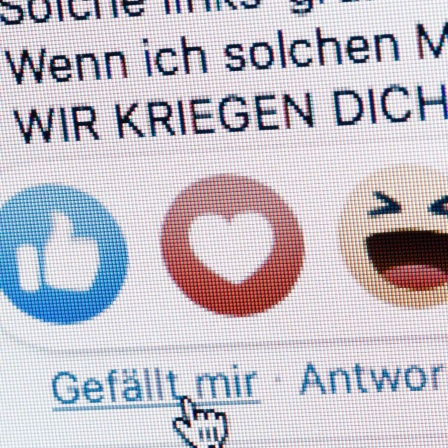 Symbolfoto: Gestellte Aufnahme zum Thema Hasskommentare in Sozialen Netzwerken