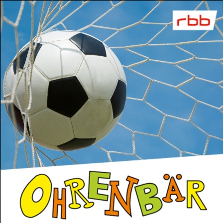 Ein Fußball fliegt ins Tornetz (Quelle: Colourbox)