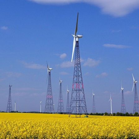 Windräder in einem Rapsfeld