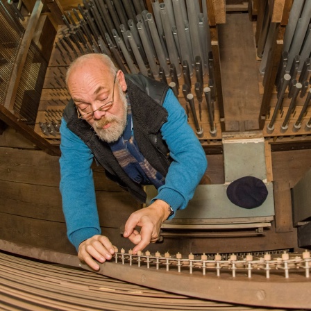 Ein Orgelbaumeister steht im Inneren der Sauerorgel in der Sankt-Gertraud-Kirche in Frankfurt (Oder).