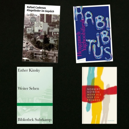 lesenswert Bücher vom 16.4.2023