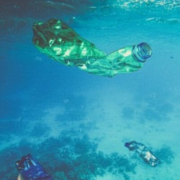 Plastikmüll wie Flaschen und Tüten schwimmen im türkisfarbenden Meer.