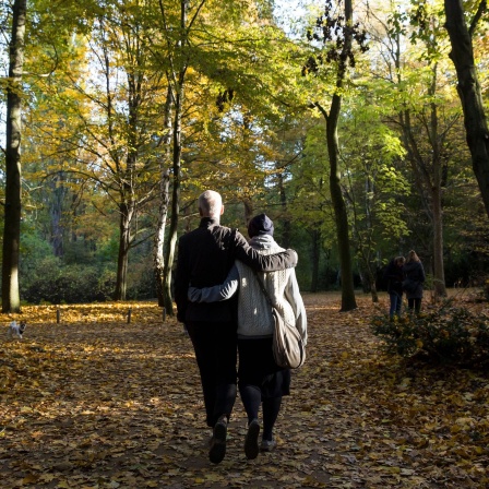 Zwei Personen gehen umarmt durch den Berliner Tiergarten bei Sonnenschein