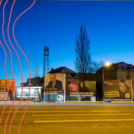 Wahlplakate der Parteien SPD, CDU,
Bündnis 90/Die Grünen und FDP in
Potsdam 