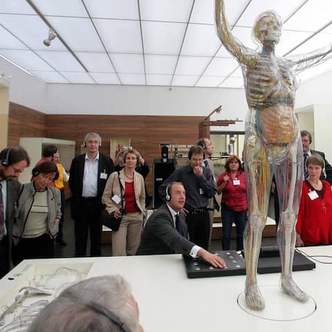 Besucher betrachten die Gläserne Frau im Deutschen Hygienemuseums in Dresden