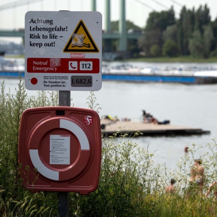 Ein Schild warnt vorm Schwimmen im Rhein "Lebensgefahr"