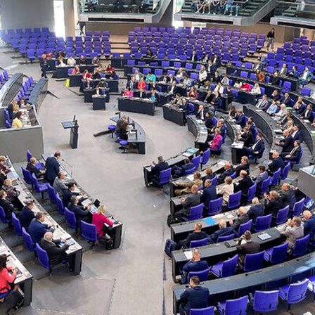 Abgeordnete im Bundestag
