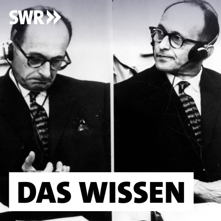 Die wechselnden Gesichter von Adolf Eichmann. Drei Nahaufnahmen des ehemaligen SS-Führers Adolf Eichmann, gekleidet in einen dunklen Anzug und ein weißes Hemd, während er sich am 27. April 1961 in Jerusalem im Prozess gegen ihn die Beweise anhört.