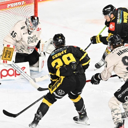 Die Kölner Haie verteidigen im Testspiel gegen die Krefeld Pinguine