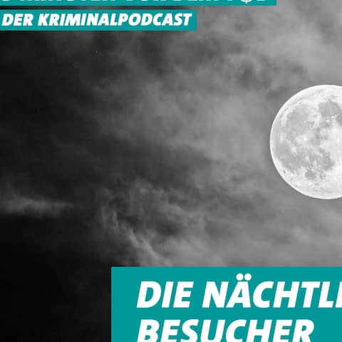 Folge 31 - Die nächtlichen Besucher