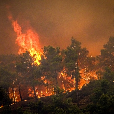 Flammen sind bei einem großen Waldbrand auf der griechischen Insel Rhodos zu sehen.