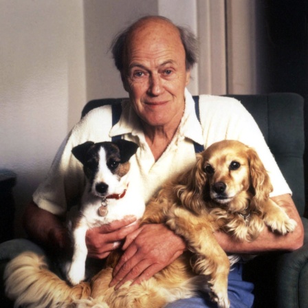 Der britische Schriftsteller Roald Dahl mit seinen Hunden. (Archivbild)