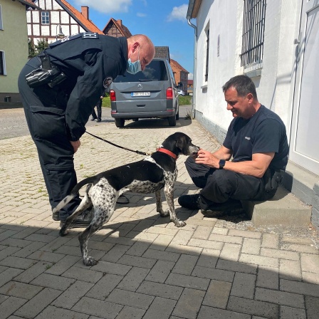 Zwei Polizisten mit einem Personensuchhund/Mantrail-Hund auf einer Treppe.