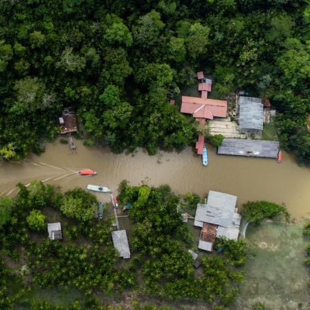 Blick auf den Fluss Guama und die Insel Combu im Amazonas-Regenwald. Menschen leben an den Ufern des Guamas in Holzhütten.