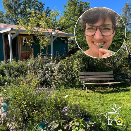 Komm mit in den Garten Der MDR GartenPodcast · 76 Mein Gartenjahr