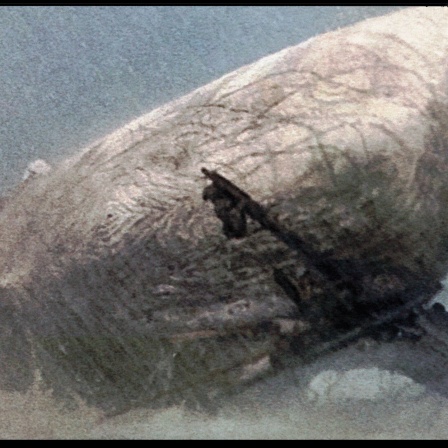 MOBY DICK de John Huston 1956 USA