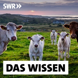 SWR2 Wissen · Podcast in der ARD Audiothek