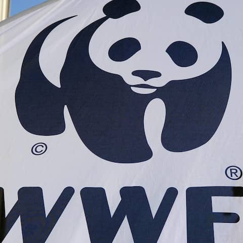 Logo des "World Wildlife Fund" (WWF) mit Panda