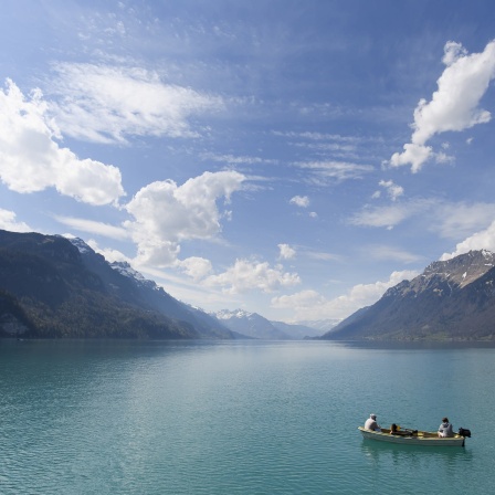 Brienzersee umgeben von Bergen