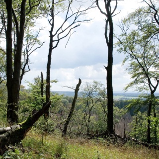 Teutoburger Wald