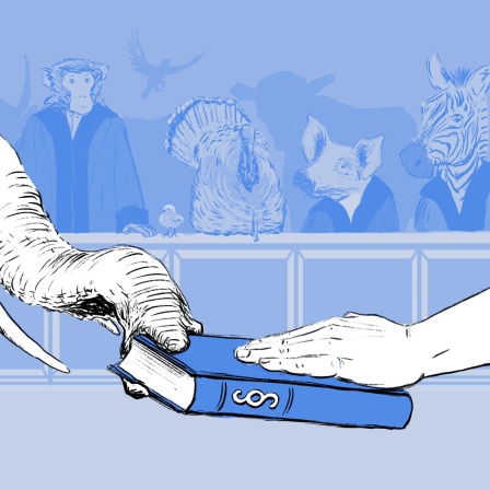 Tiere vor Gericht