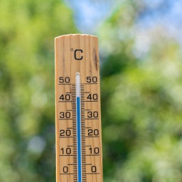 Thermometer aus Holz vor grünen Blättern in der Natur mit der Temperatur 40 Grad Celsius. Symbolbild Hitzewelle