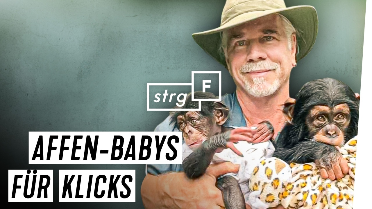 Baby-Affen: Das Leid hinter den süßen Bildern? (feat. Doc Antle) | STRG_F