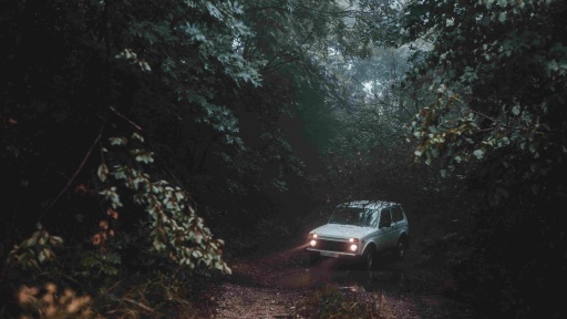 Bild: EyeEm / Alexander Grigoriev