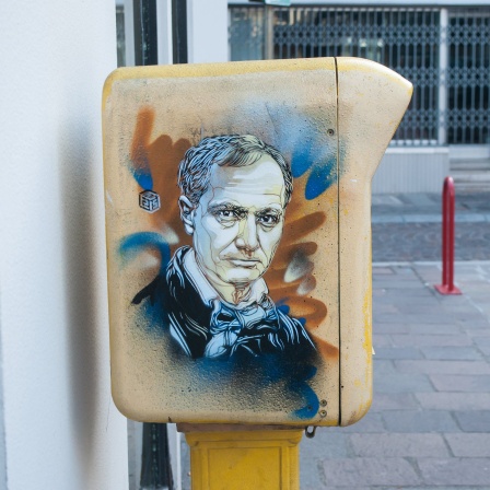 Charles Baudelaire - Graffiti auf einem Briefkasten (vom Künstler C215 in F-Mulhouse)