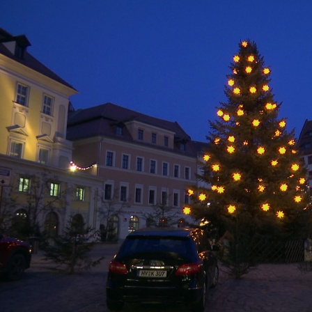 Der große Weihnachtsbaum für den Bautzener Hauptmarkt kommt in diesem Jahr aus einem Garten in Cölln