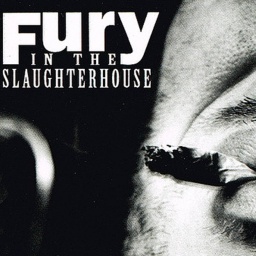Radio Orchid - Fury In The Slaughterhouse