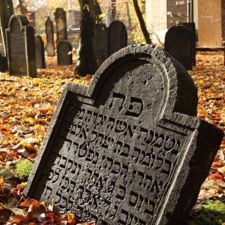 Der jüdische Friedhof Königstraße in Hamburg-Altona mit seinen charakteristischen Grabsteinen gilt als bedeutendes Kulturdenkmal des Judentums in Nordwesteuropa.
