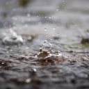 Regentropfen fallen in eine Pfütze