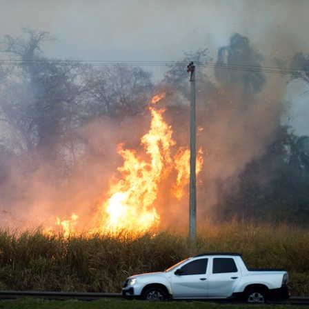 Brasilien, Wald- und Buschbrände im Bundesstaat Sao Paulo