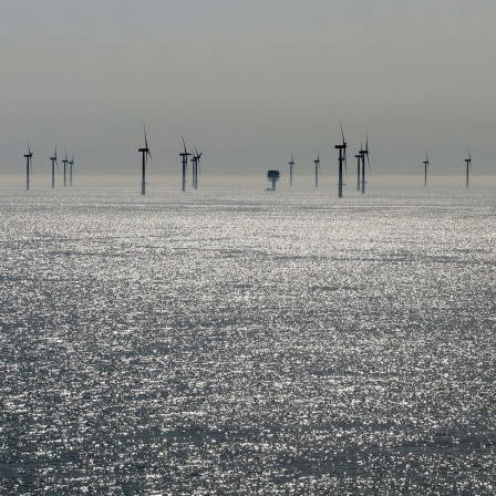 Ein Offshore-Windpark im Meer.