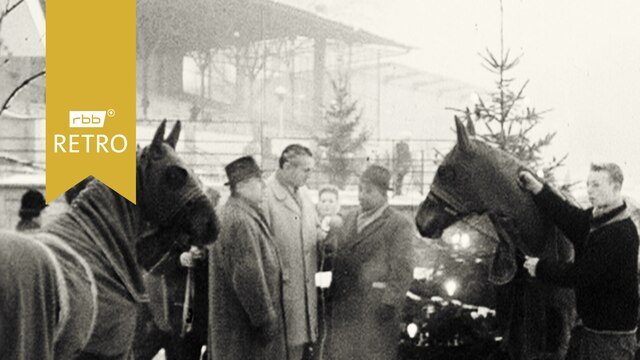 Personen und Pferde im Winter auf Trabrennbahn (Quelle: rbb)