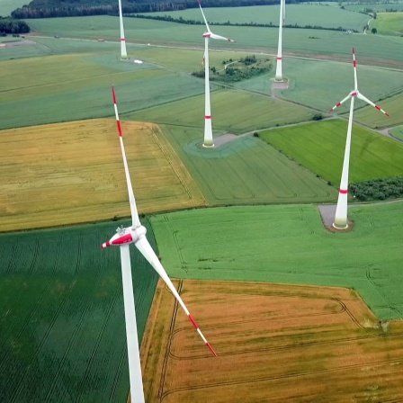 Windkraftanlage in der Landschaft