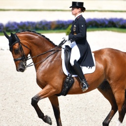 Symbolbild: Die deutsche Dressurreiterin Isabell Werth auf dem Pferd Emilio reitet beim Großen Preis von Aachen 2020 durch den Parcours.