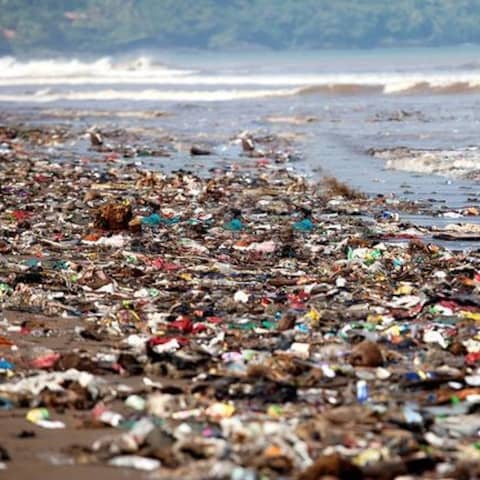 Ein Strand mit angeschwemmten Müll.