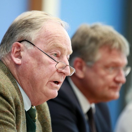 Die Parteivorsitzenden Alexander Gauland und Jörg Meuthen