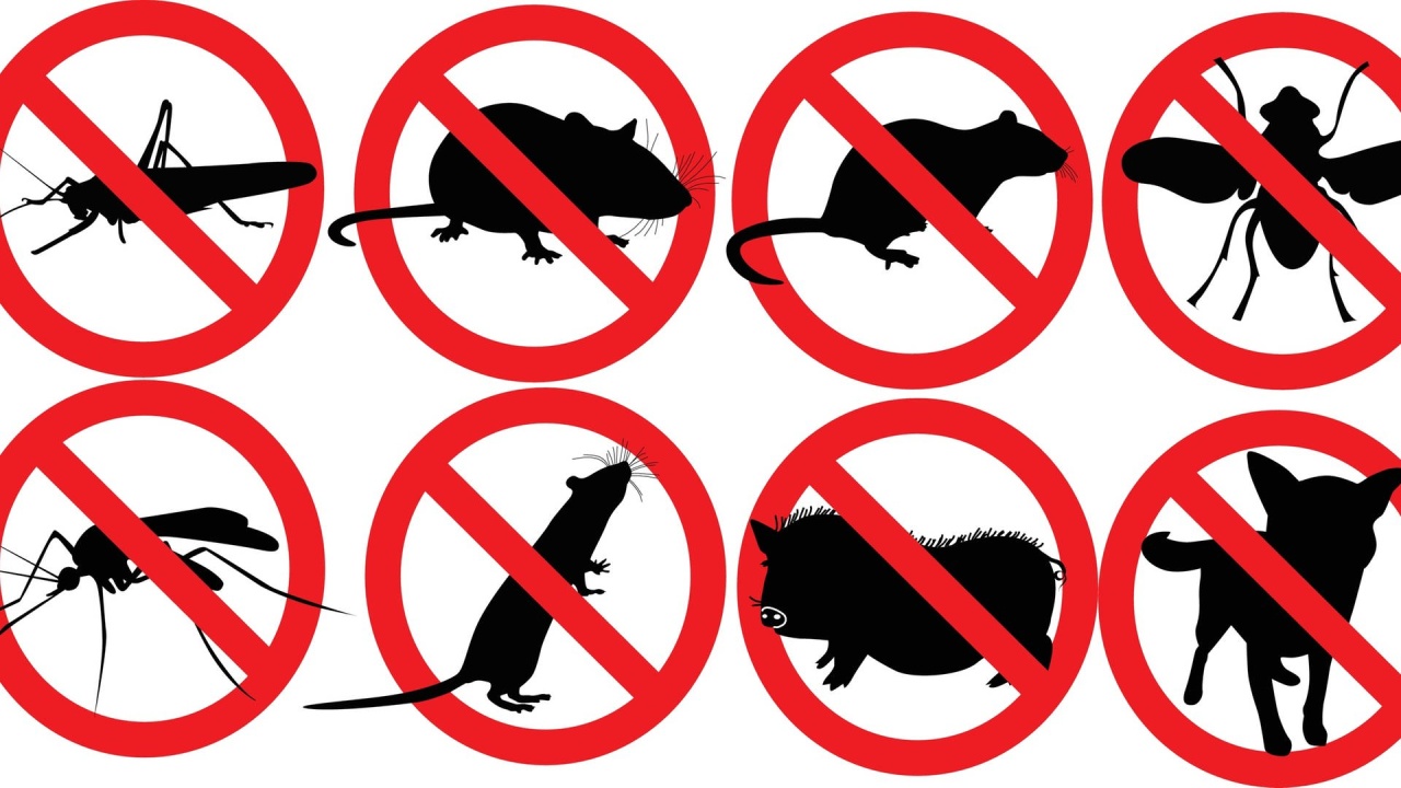 Ratten und andere Plagegeister