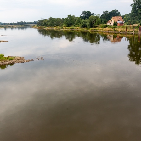 Die Oder in Kostrzyn in Polen