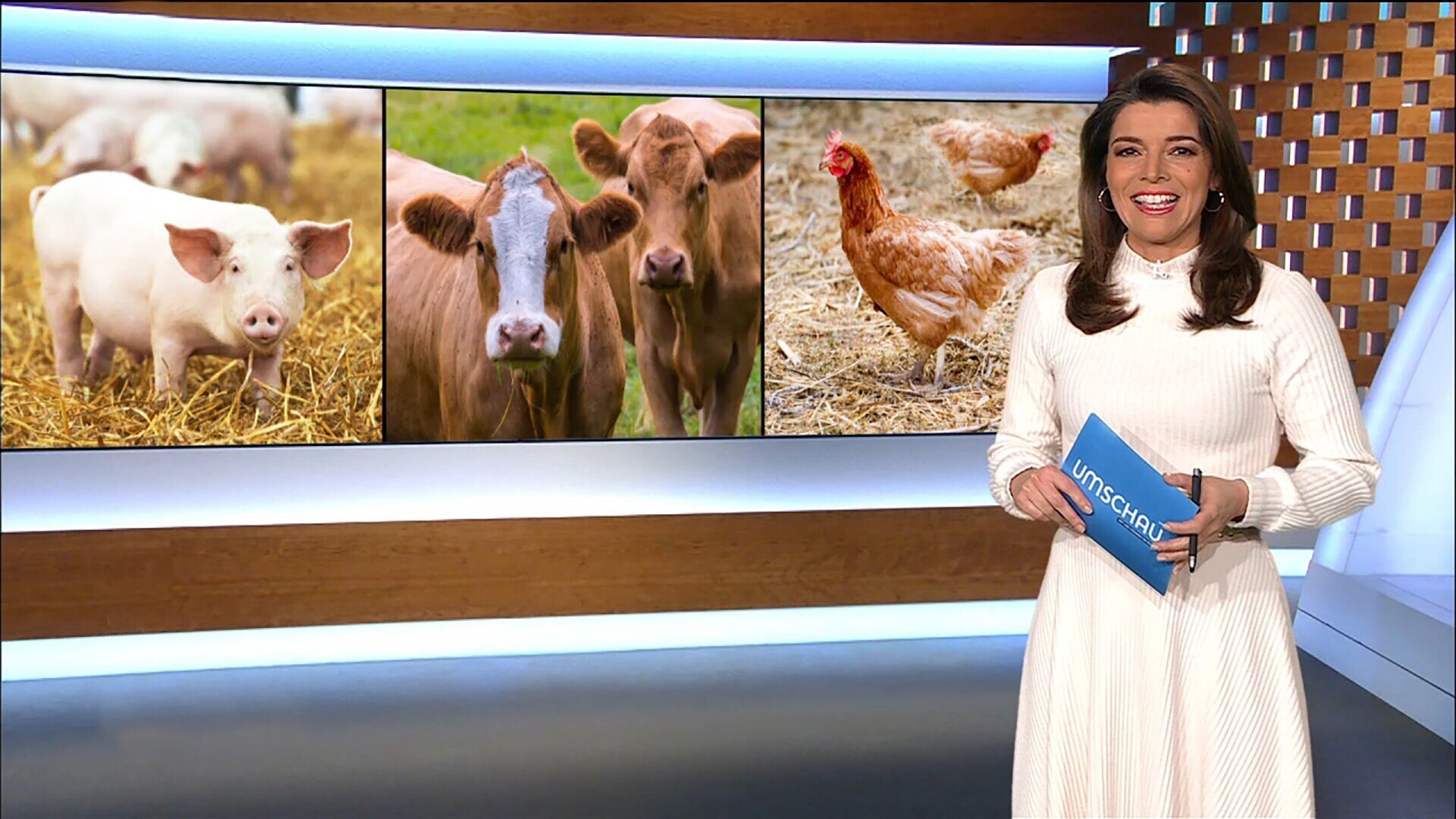 Umschau: MDR-Magazin | ARD Mediathek