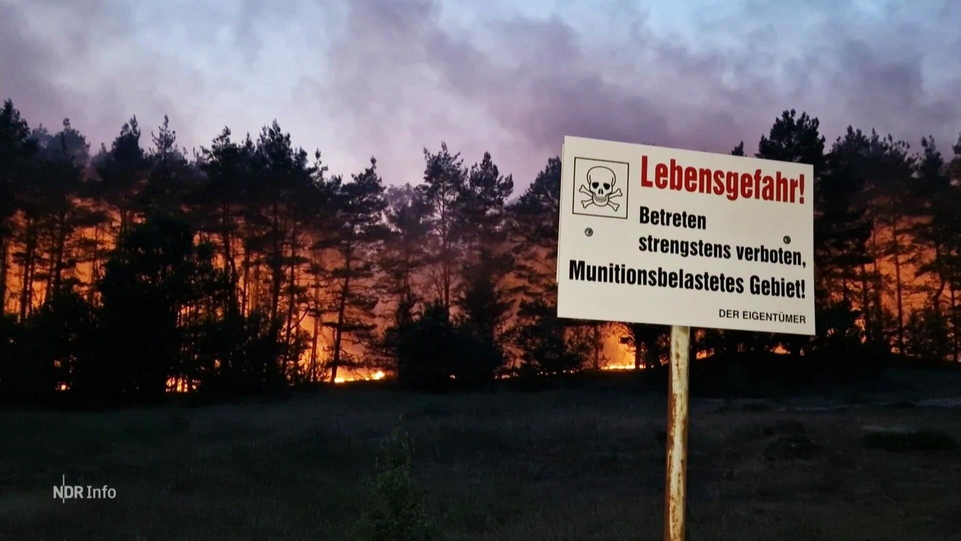 NDR Info: Brand auf ehemaligem Truppenübungsplatz Lübtheen | ARD Mediathek