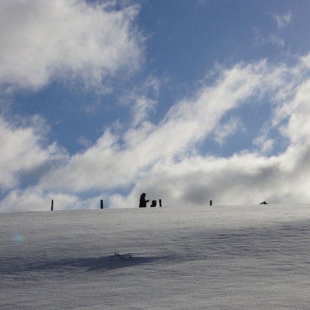 Winterwanderweg zwischen Bad Berleburg-Wunderthausen und Hallenberg
