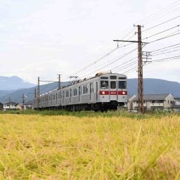 Ein Regionalzug in Japan fährt durch eine Landschaft