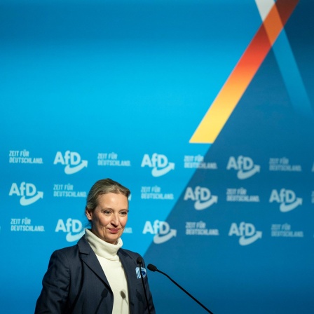 Die AfD-Vorsitzende Alice Weidel bei einem Wahlkampfauftritt (Bild: picture alliance/HMB Media/Marco Bader)
