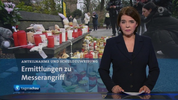 Tagesschau - Tagesschau 00:05 Uhr, 24.01.2025