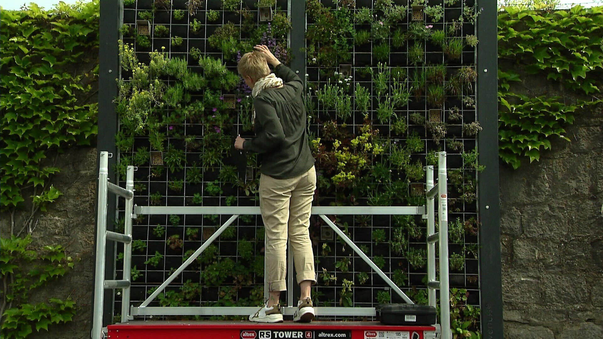 MDR Garten Vertikale Gärten ARD Mediathek