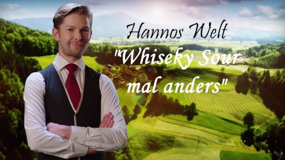 Sturm Der Liebe - Hannos Welt - Teil 30: 'whiskey Sour Mal Anders'